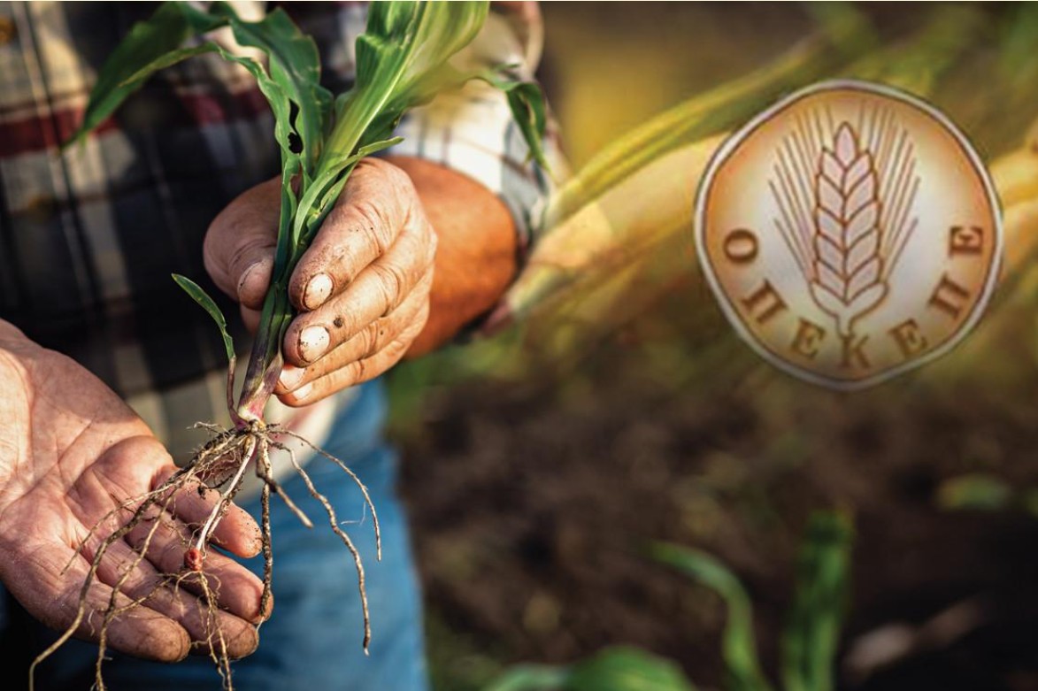Τι έδειξε η έρευνα που έγινε στον ΟΠΕΚΕΠΕ από την Ευρωπαϊκή Εισαγγελία – Έψαχναν έως τις 4 τα ξημερώματα 